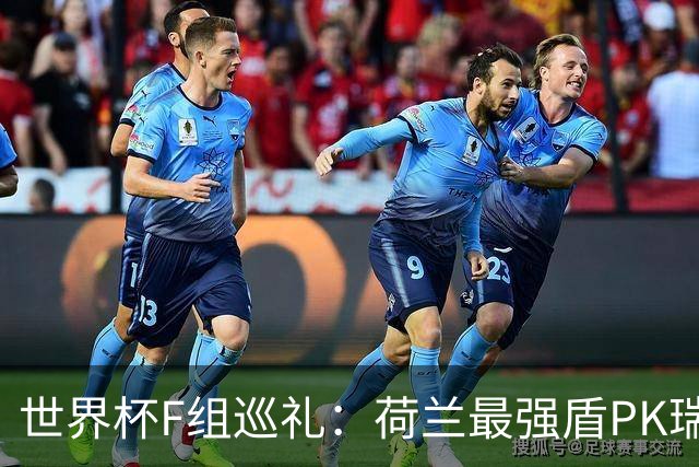 世界杯F组巡礼：荷兰最强盾PK瑞典犀利刀 日本短板明显